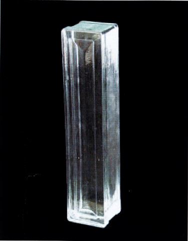 Barrette Raoul-Dufy.JPG